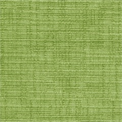 Plush Upholstery Fabric